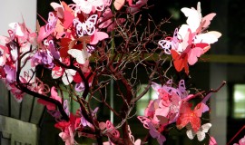 Butterfly Centerpieces