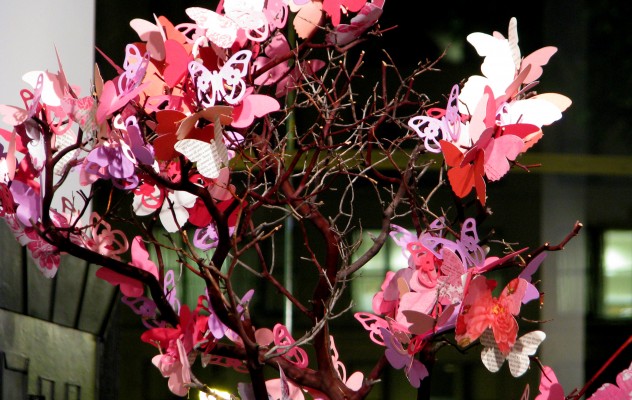 Butterfly Centerpieces