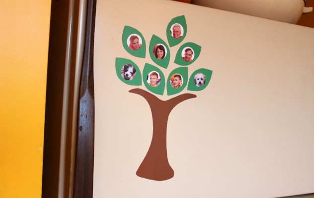 family tree magnets