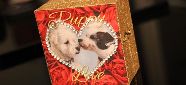 craft attitude hinged box