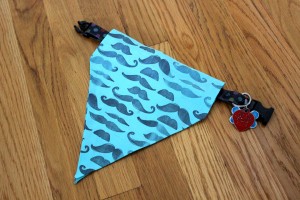 dog_bandana6