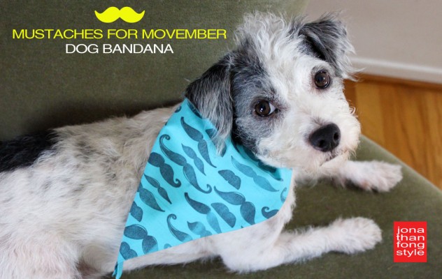 dog_bandana_gershwin