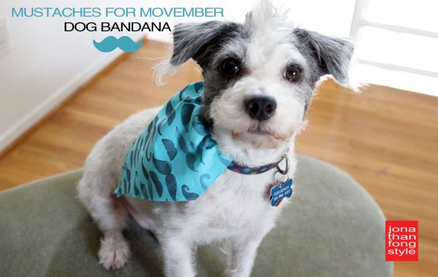 dog_bandana_gershwin2